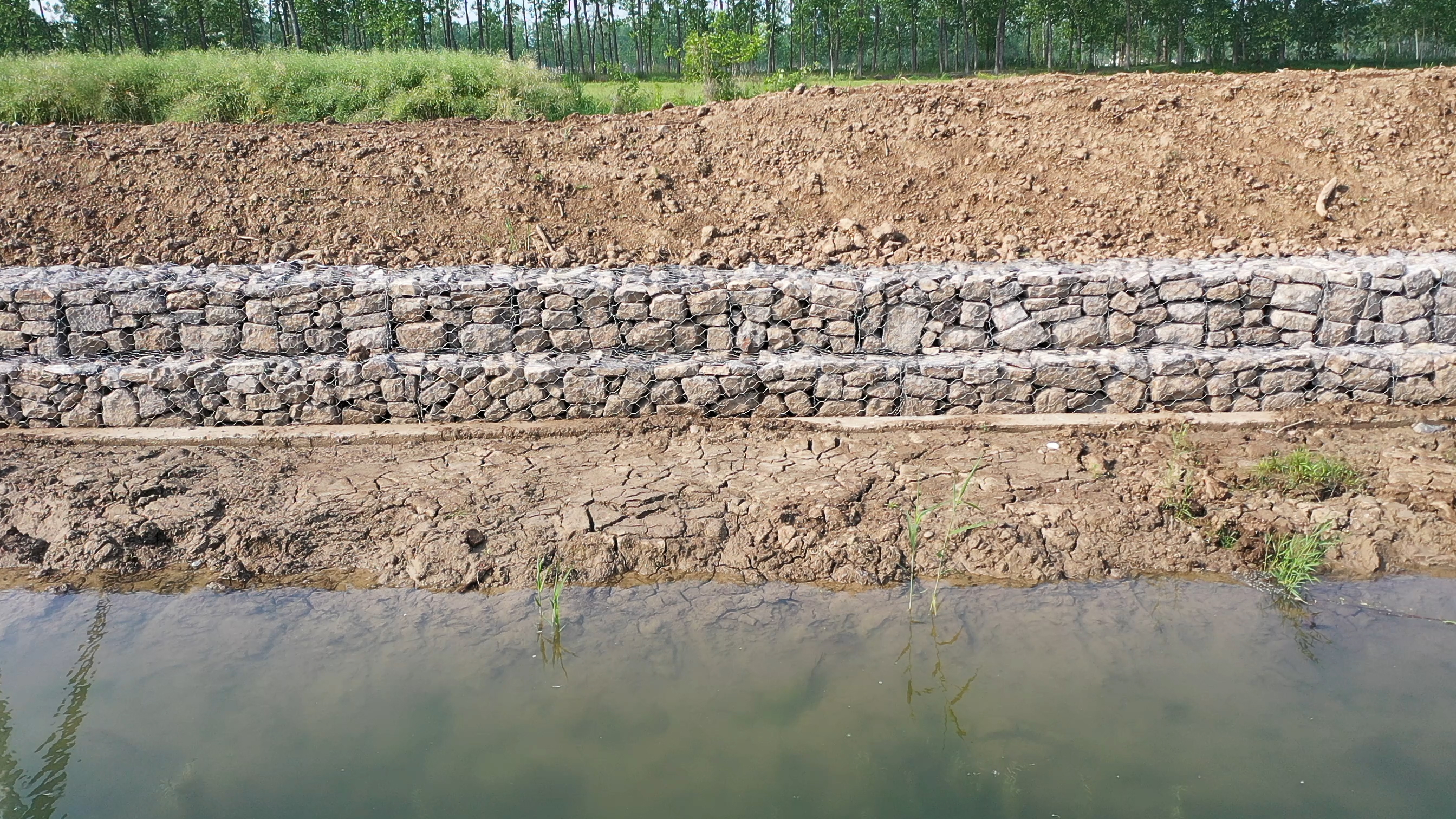 What is an ecological grid?